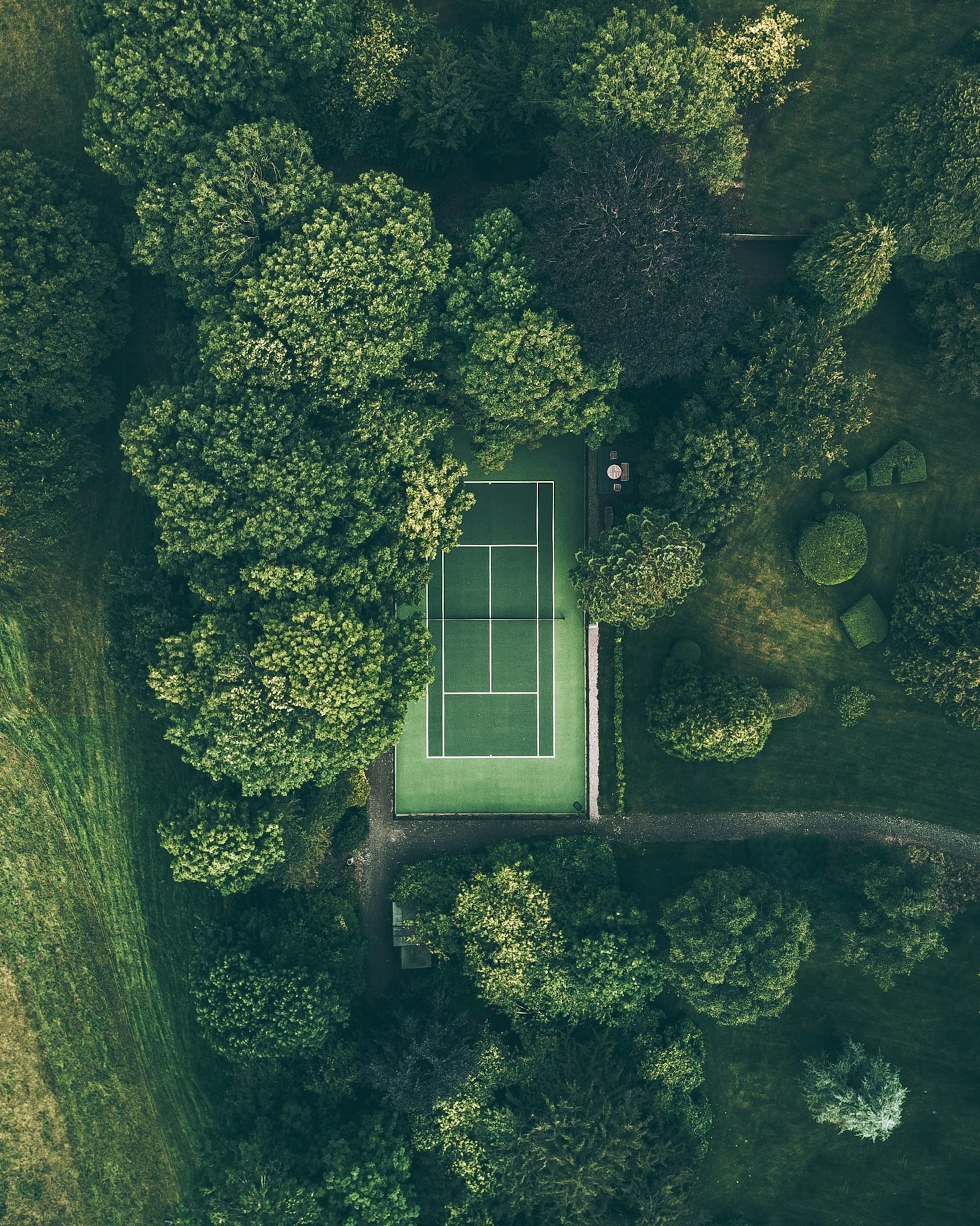 How Travel Inspires My Game on the Court